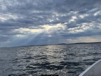IMG_6278.jpeg
