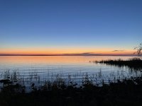 IMG_6241.jpeg