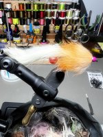 IMG_8878.jpeg