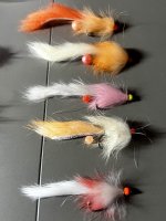 IMG_8879.jpeg