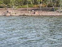 IMG_6297.jpeg