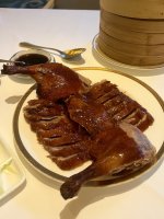 IMG_8885.jpeg IMG_8885.jpeg