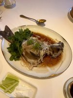 IMG_8886.jpeg IMG_8886.jpeg