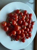 IMG_1013.jpeg
