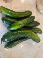 IMG_1012.jpeg