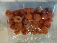 IMG_1011.jpeg
