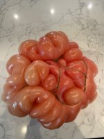 IMG_1008.jpeg