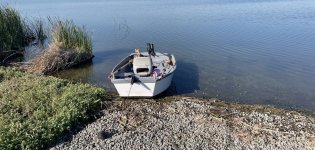 IMG_8071.jpeg