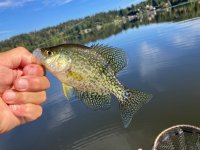IMG_2256.jpeg