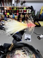 IMG_8895.jpeg