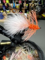 IMG_8896.jpeg