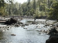 IMG_4622.JPG