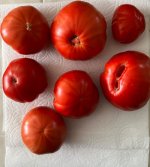 IMG_8095.jpeg
