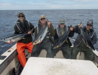 A12HappyFishers9010036.png