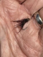 IMG_8105.jpeg