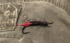 IMG_6316.jpeg