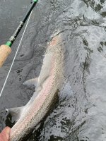 IMG_6313.jpeg