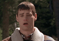 1788627615141.gif