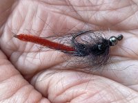 IMG_8126.jpeg