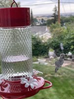 IMG_8135.jpeg