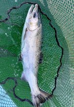 IMG_3851.jpeg