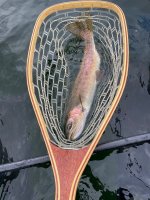 IMG_4556.jpeg