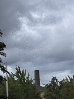 IMG_6323.jpeg IMG_6323.jpeg