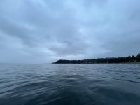 IMG_7508.jpeg