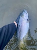IMG_4080.jpeg