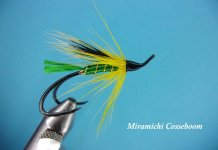 Miramichi Cosseboom.jpg