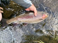 IMG_3562.jpeg