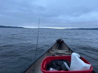IMG_7503.jpeg