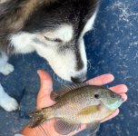 IMG_0720.jpeg