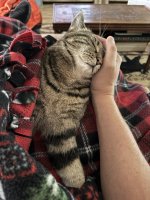IMG_9659.jpeg