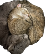 1788886893697.png