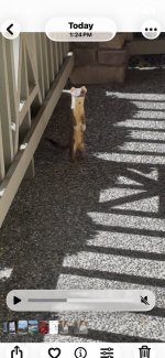IMG_1718.jpeg