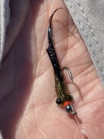 IMG_8146.jpeg