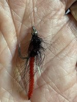 IMG_8156.jpeg