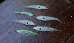 20260909_170928.jpg