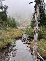 IMG_7748.jpeg