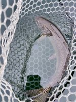 IMG_7790.jpeg