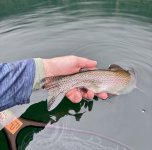 IMG_7802.jpeg