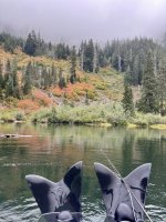 IMG_7785.jpeg
