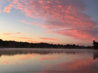 IMG_5602.jpeg