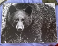 IMG_7403.jpeg