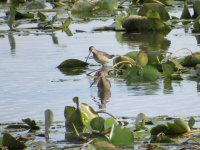 IMG_6431.JPG