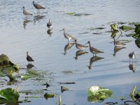 IMG_6414.JPG