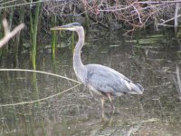 IMG_6407.JPG