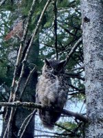 IMG_4728.jpeg