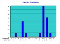 Fish Size Distribution 2026-09-12.jpg Fish Size Distribution 2026-09-12.jpg